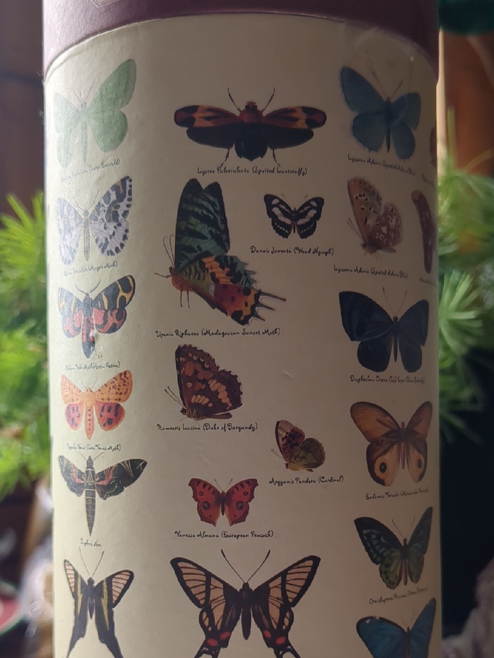 Butterfly Puzzle 1000 Pieces